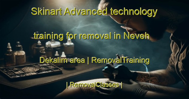 Skinart Advanced technology training for removal in Neveh Dekalim area | RemovalTraining | RemovalClasses | SkinartTraining-State of Palestine